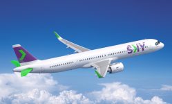 Imagen de un avión SKY