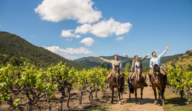Grupo de turistas cabalgando entre los viñedos de la región del Maule, disfrutando con los brazos abiertos el paisaje