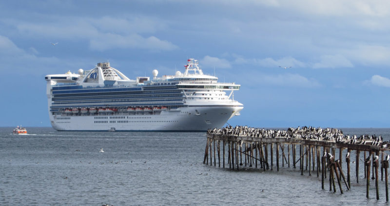 Imagen de un crucero en aguas chilenas donde se puede admirar un muelle con aves en sus orillas y un despejado cielo azul.