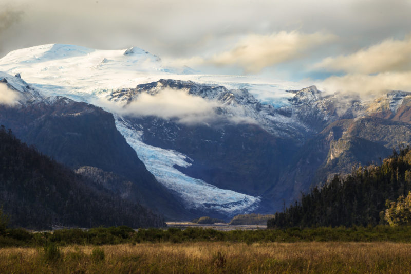 Imagen panorámica del Parque Pumalín donde se ve las montañas nevadas de fondo