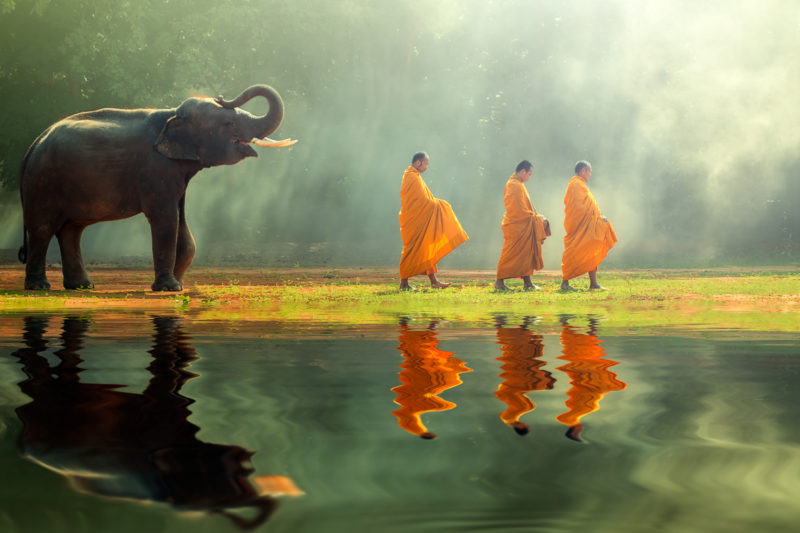Imagen de unos monjes budistas junto a un pequeño elefante en el santuario de estos animales en Tailandia