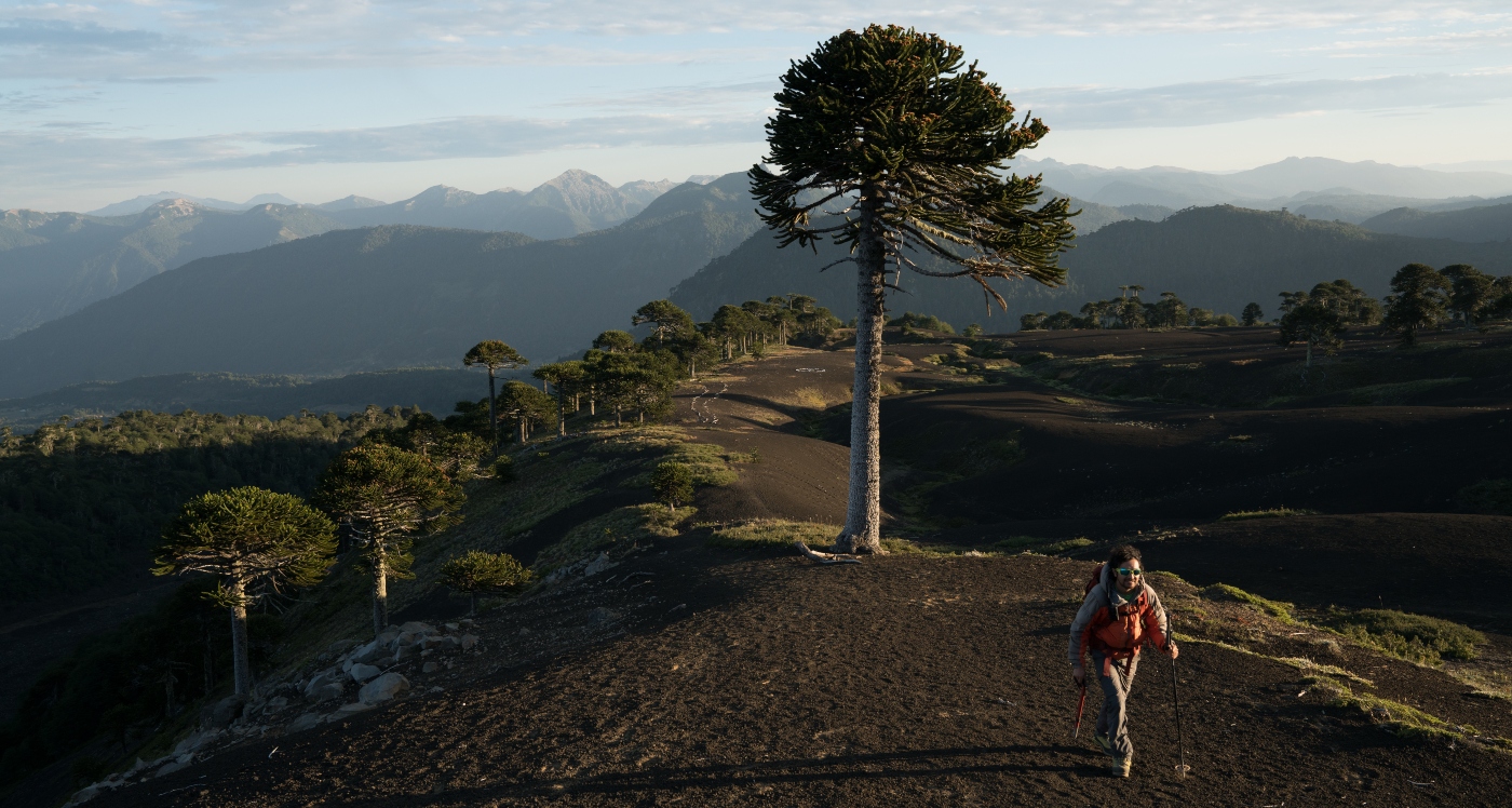 Imagen de un hombre realizando trekking en las alturas de Sollipulli