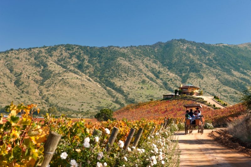 Imagen del Valle de Colchagua y sus fructiferas plantaciones