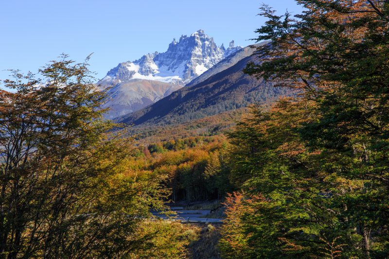 Fotografía paisaje Parque Nacional Cerro Castilllo