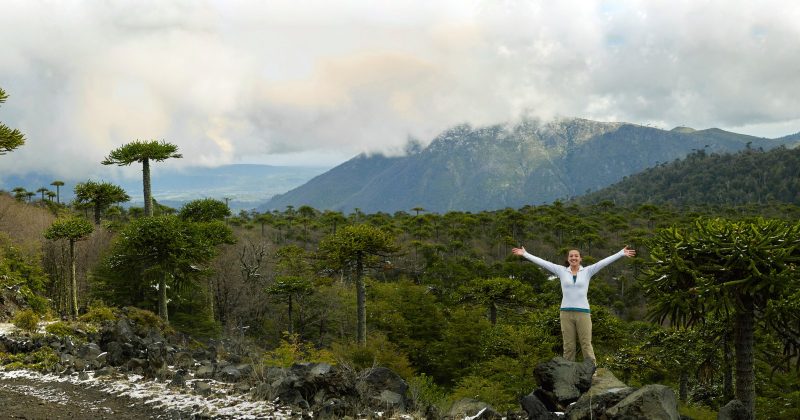 Sernatur registro